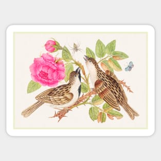 Pair of Brown Birds on Rose Stem with Butterfly and Spider (18th Century) Sticker